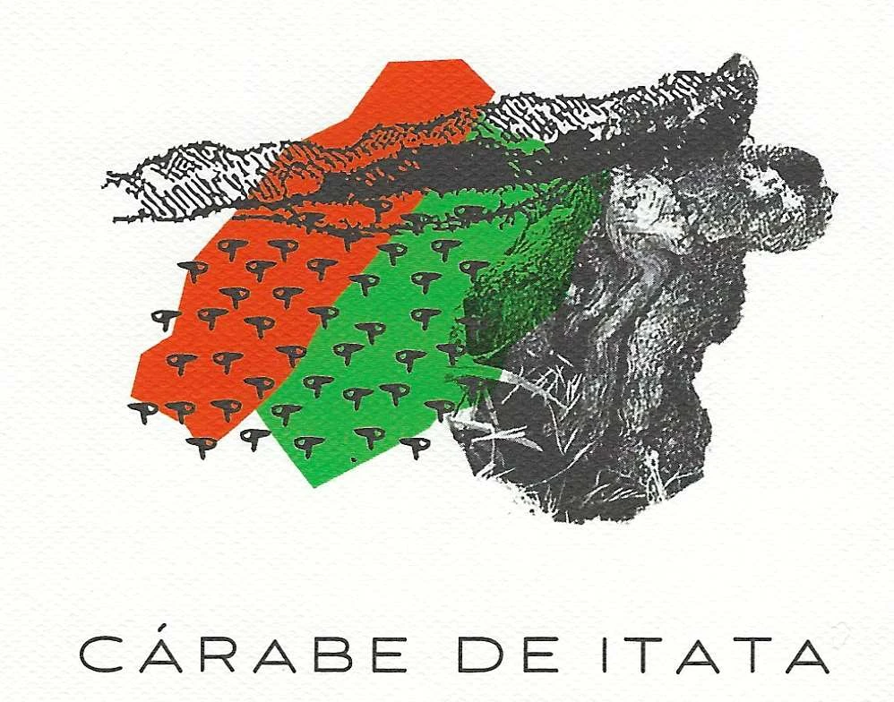 CÁRABE DE ITATA