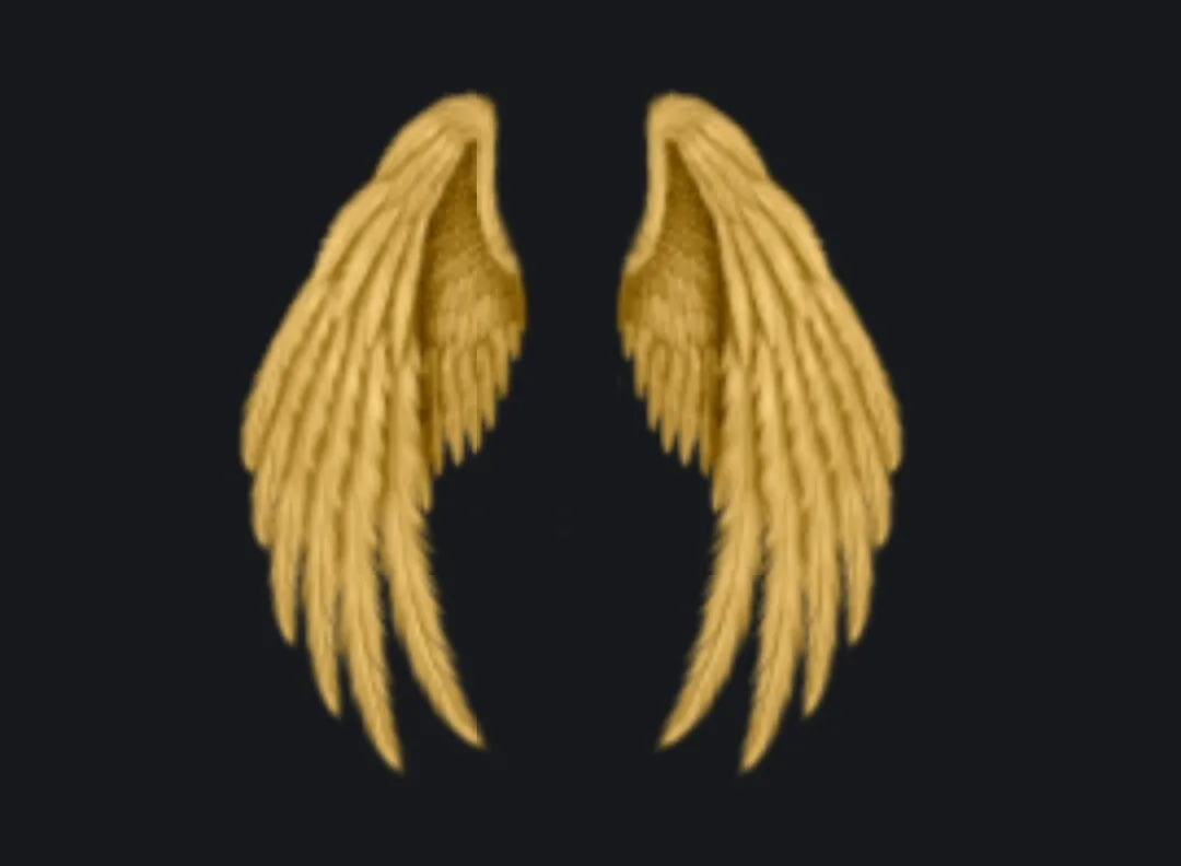 Acta 1284355