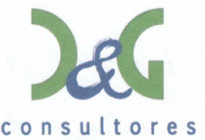 D & G CONSULTORES