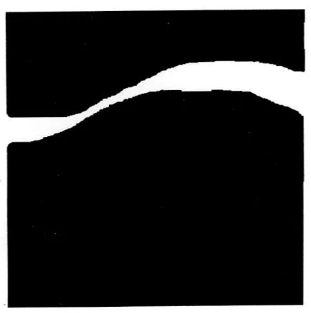 Acta 1224356