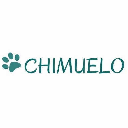 CHIMUELO