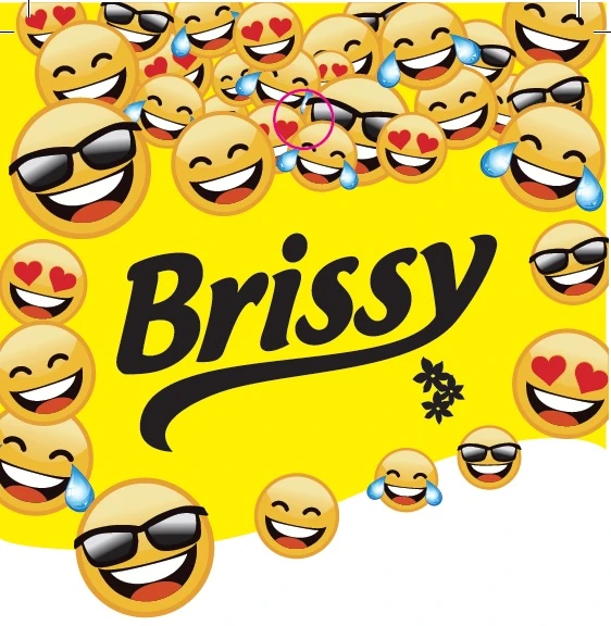 BRISSY