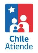 Chile Atiende