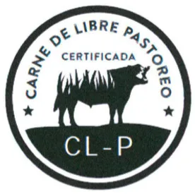 CL-P