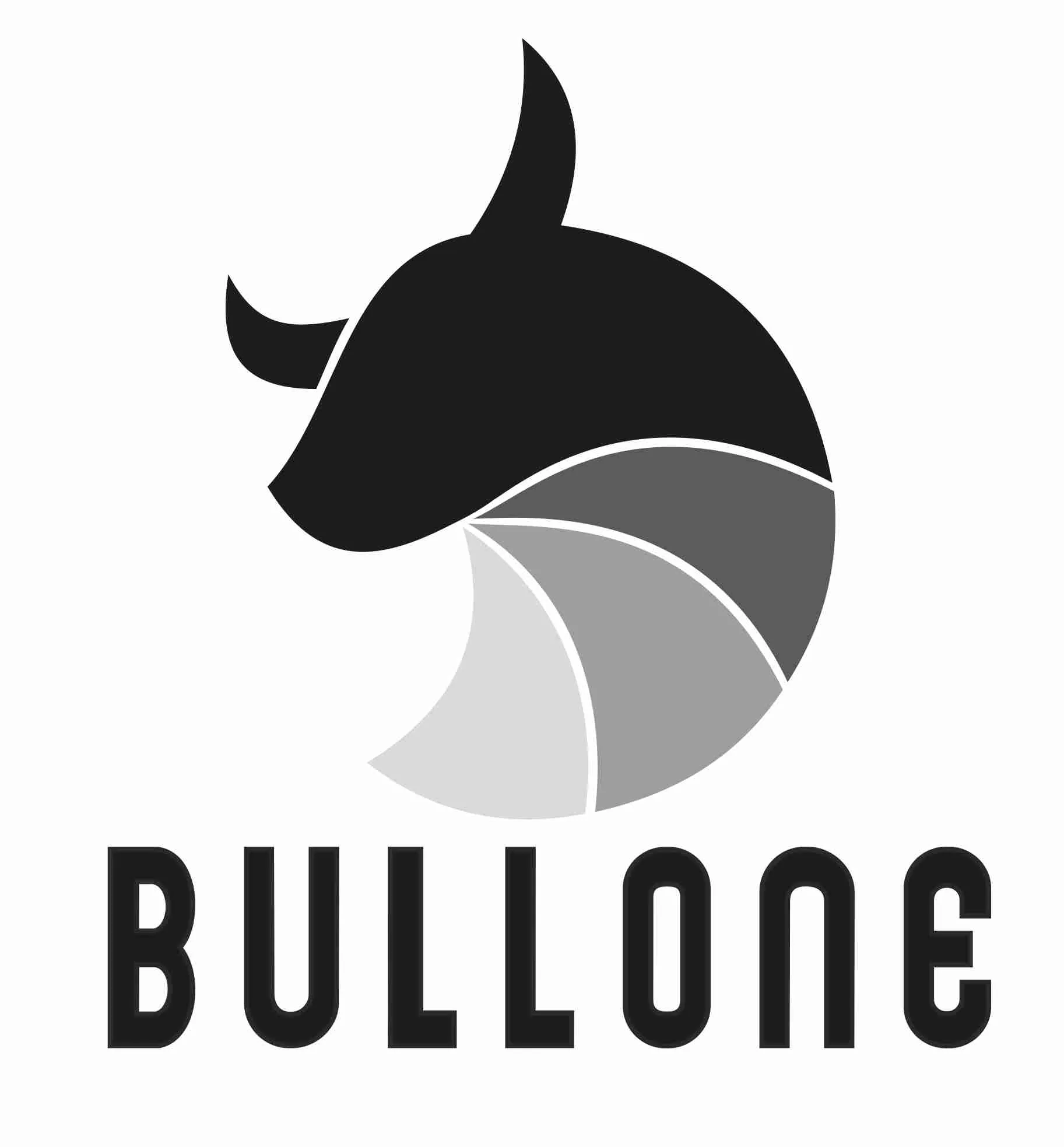 BULLONE