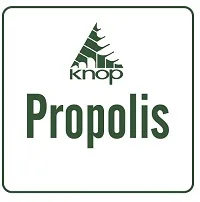 PROPOLIS KNOP