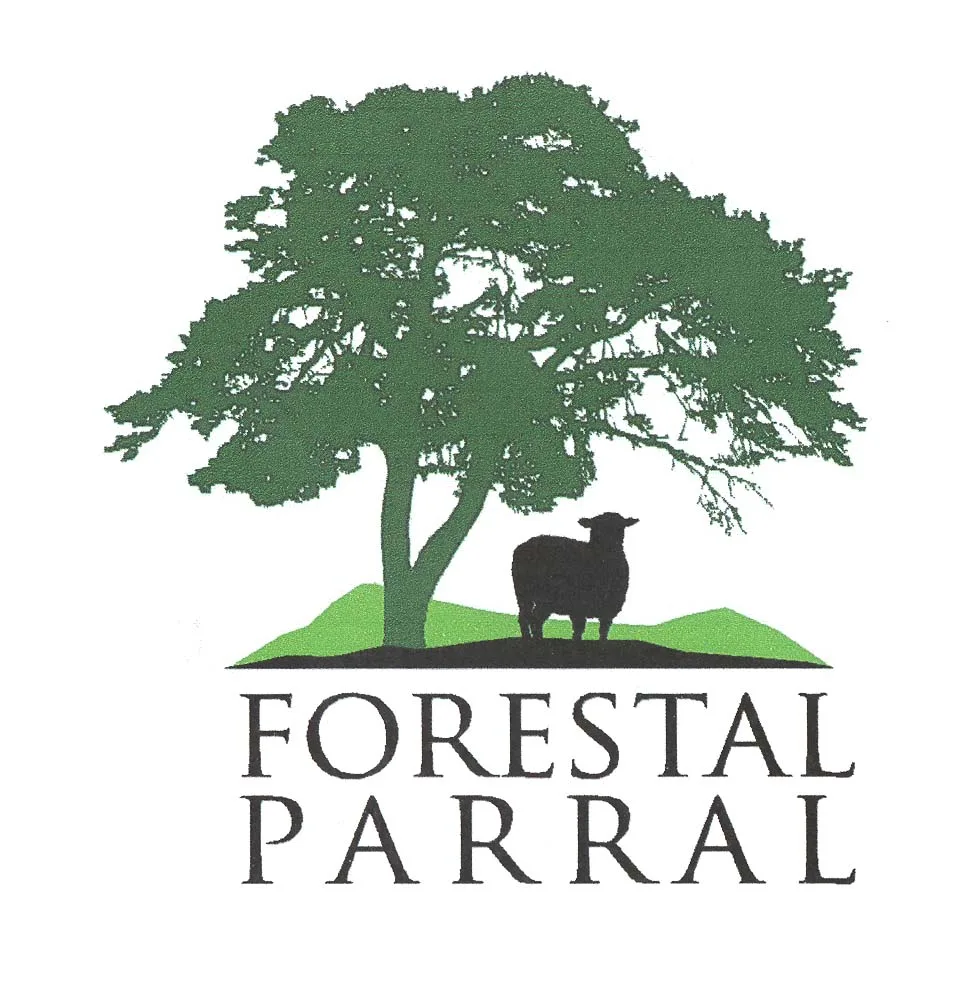 FORESTAL PARRAL