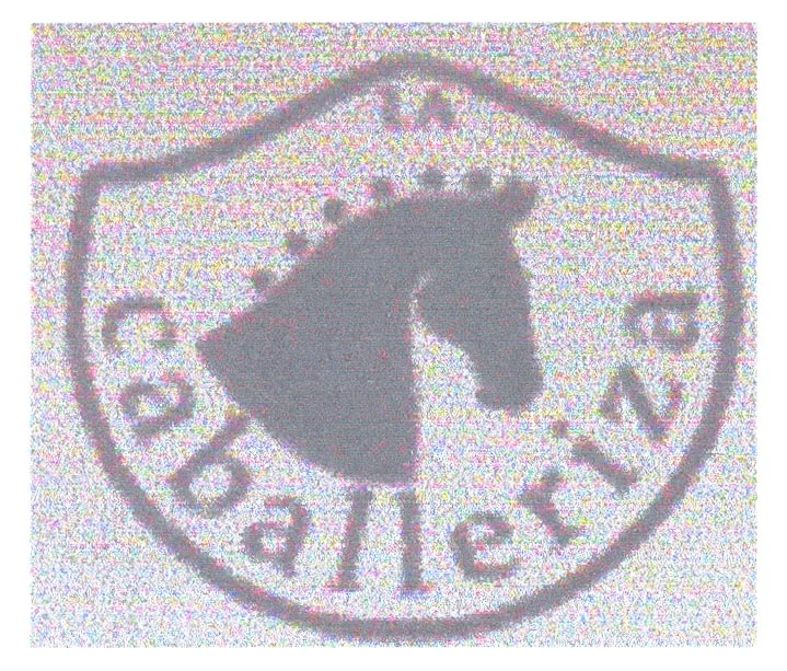 LA CABALLERIZA