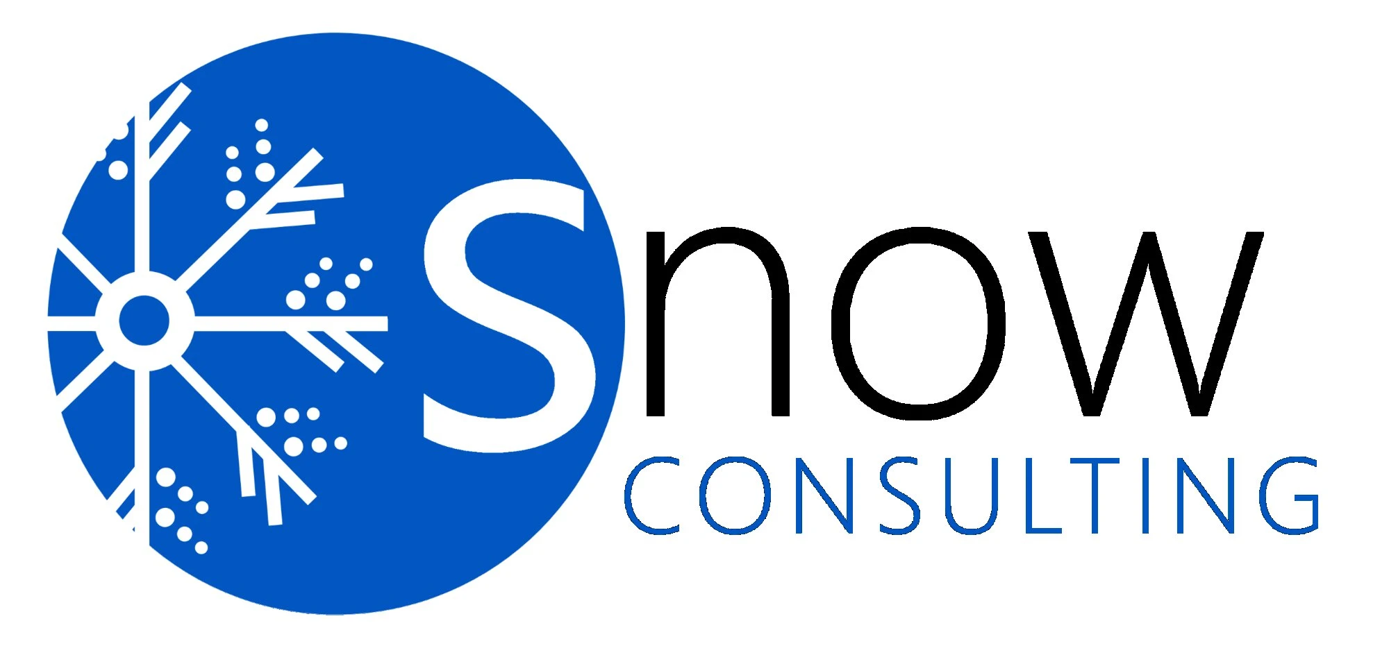 SNOW CONSULTING