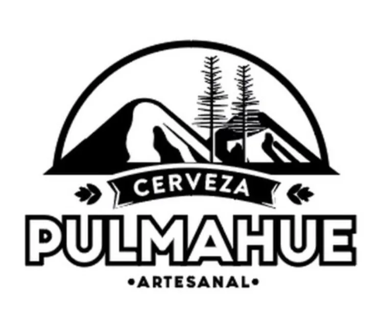 cerveza artesanal pulmahue