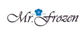 MR. FROZEN