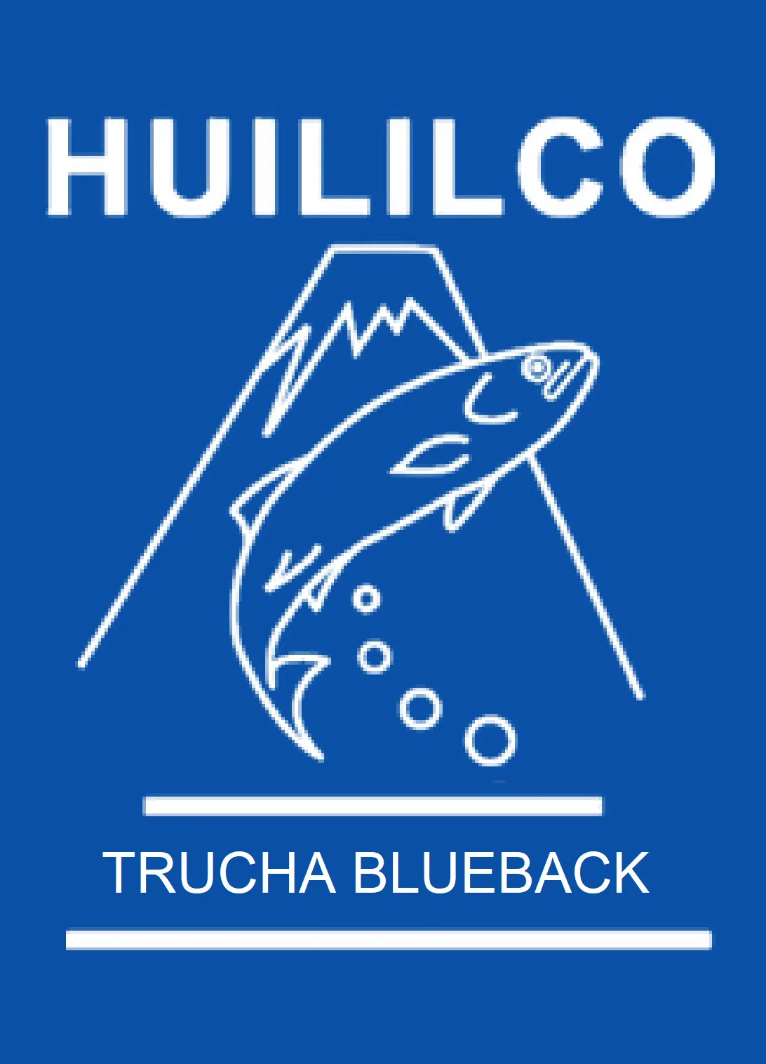 HUILILCO TRUCHA BLUEBACK