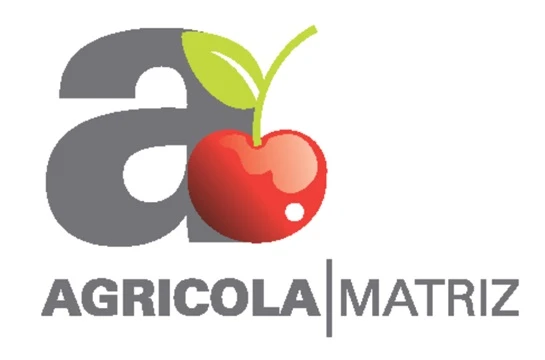 a AGRICOLA MATRIZ