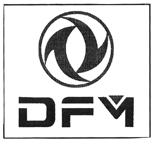 DFM