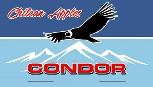 CHILEAN APPLES CONDOR