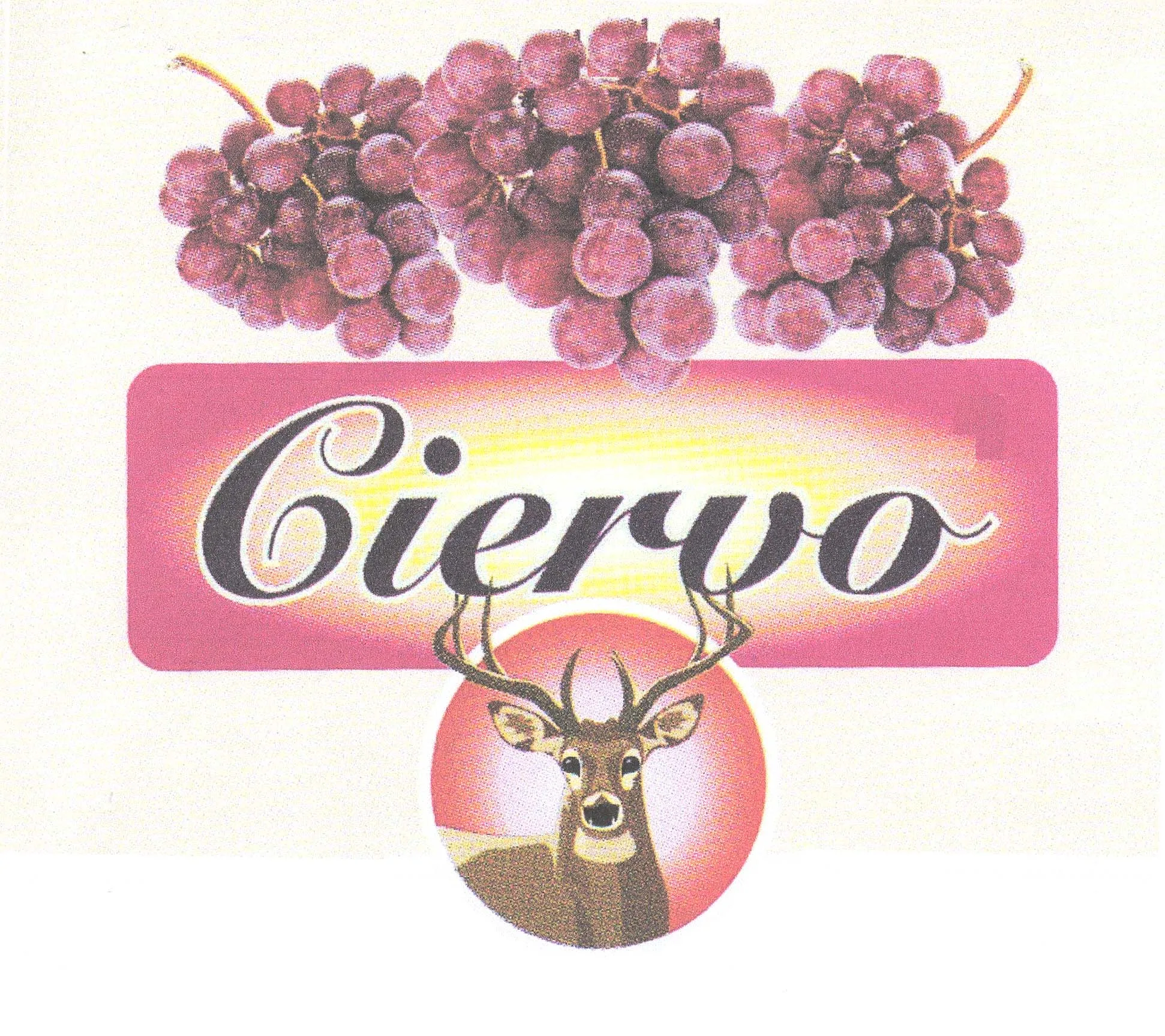 CIERVO