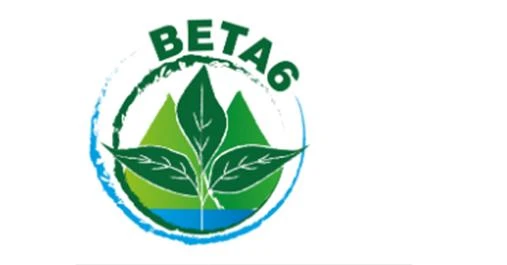 BETA6