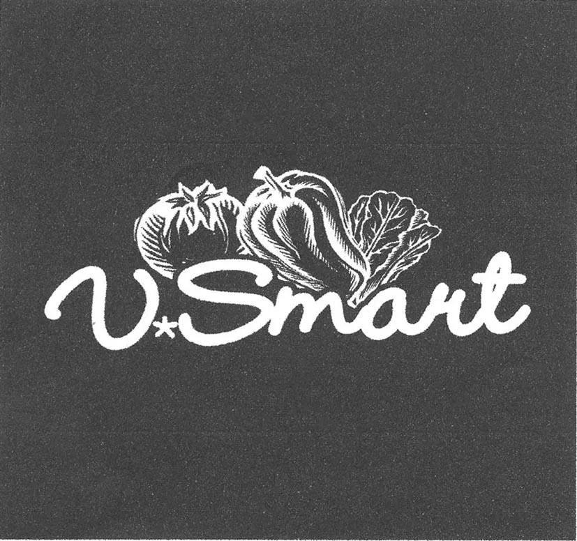 V*SMART