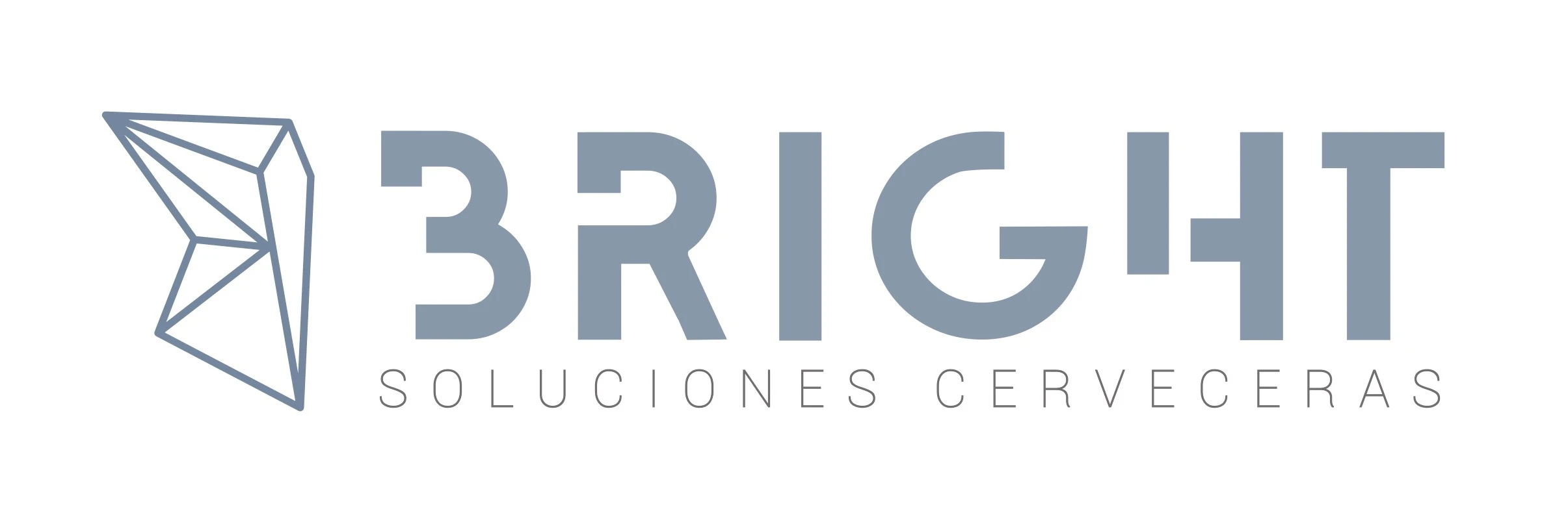 BRIGHT SOLUCIONES CERVECERAS