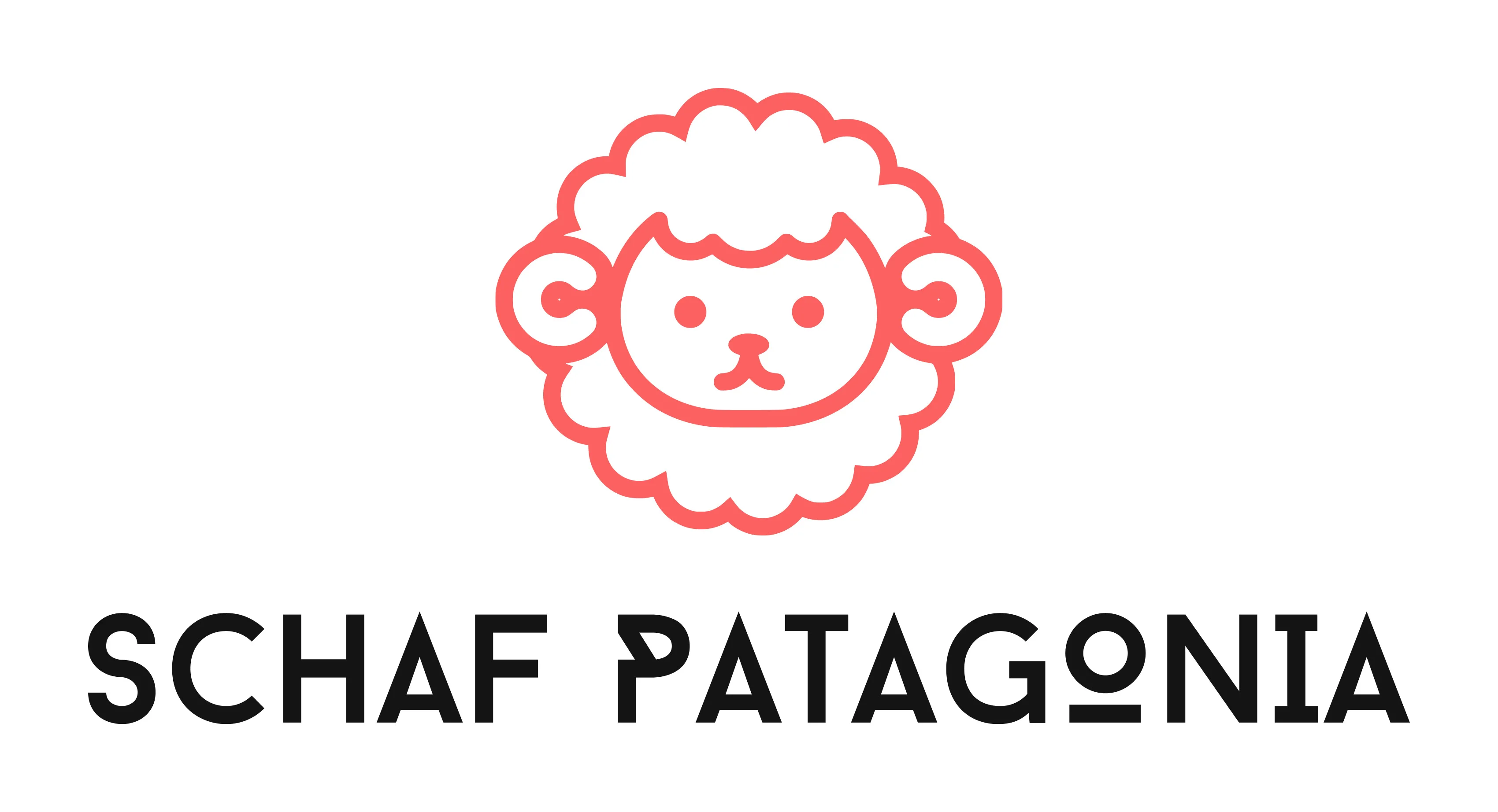 Schaf Patagonia