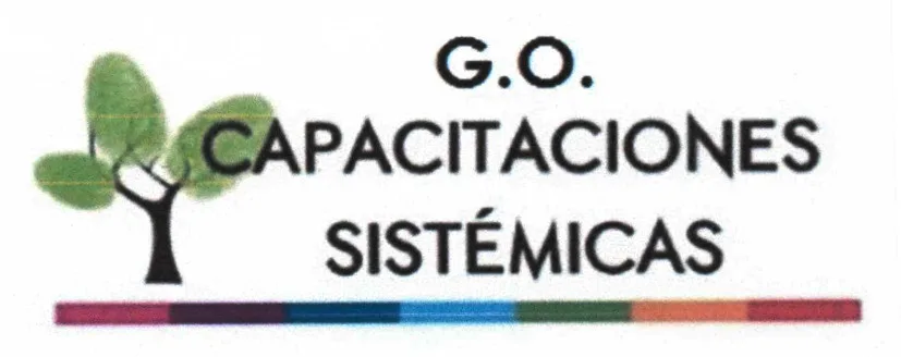 G.O. CAPACITACIONES SISTÉMICAS