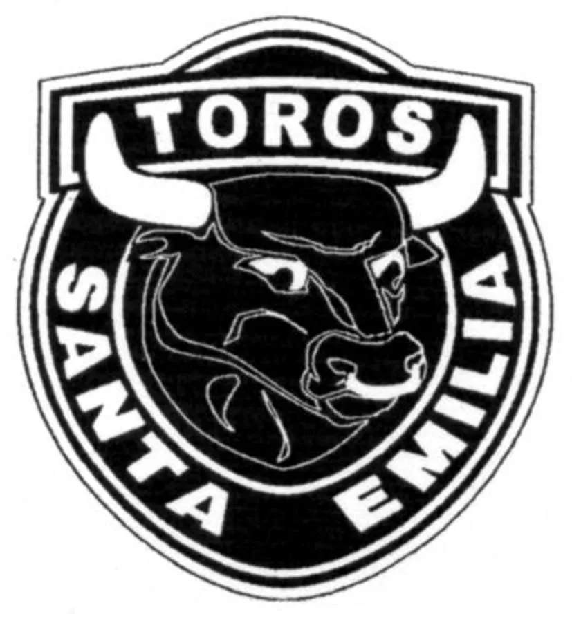 TOROS DEL SANTA EMILIA