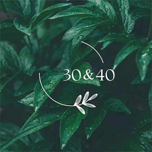 30&40