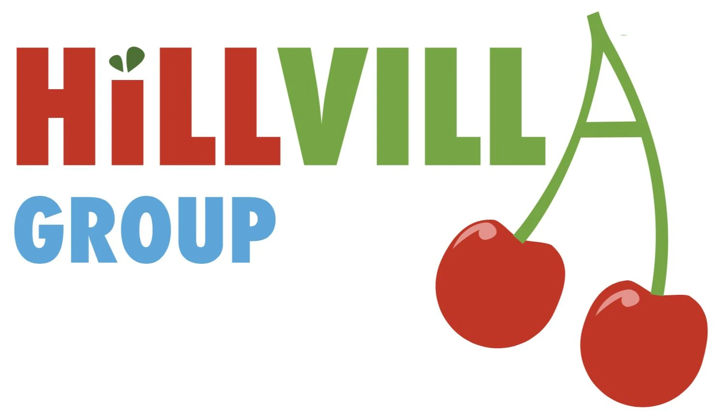 HILLVILLA GROUP