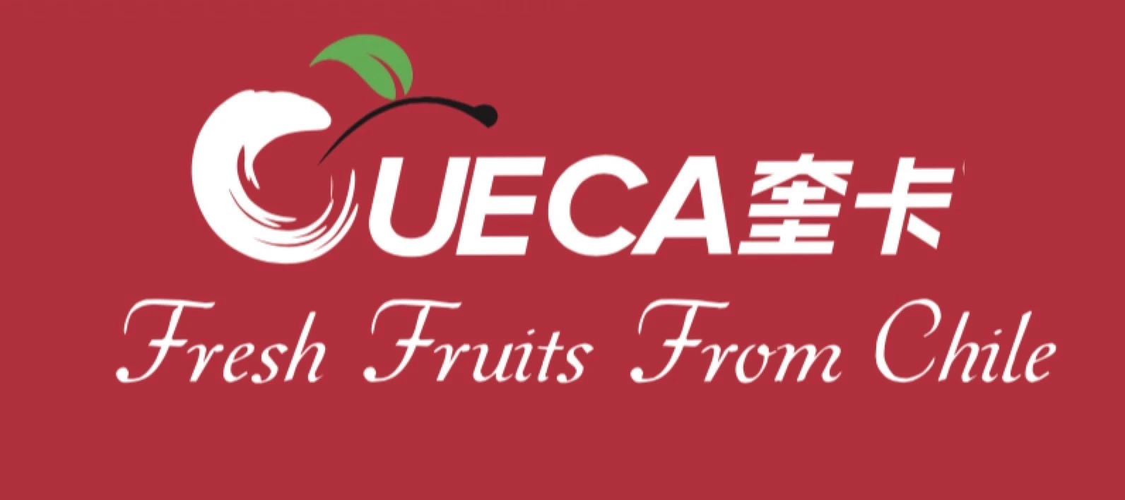 Cueca Fresh Fruits From Chile