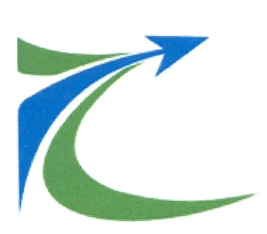 Acta 907381