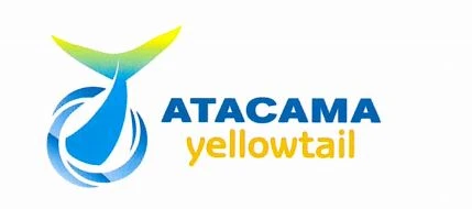 Atacama Yellowtail