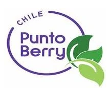 CHILE Punto Berry