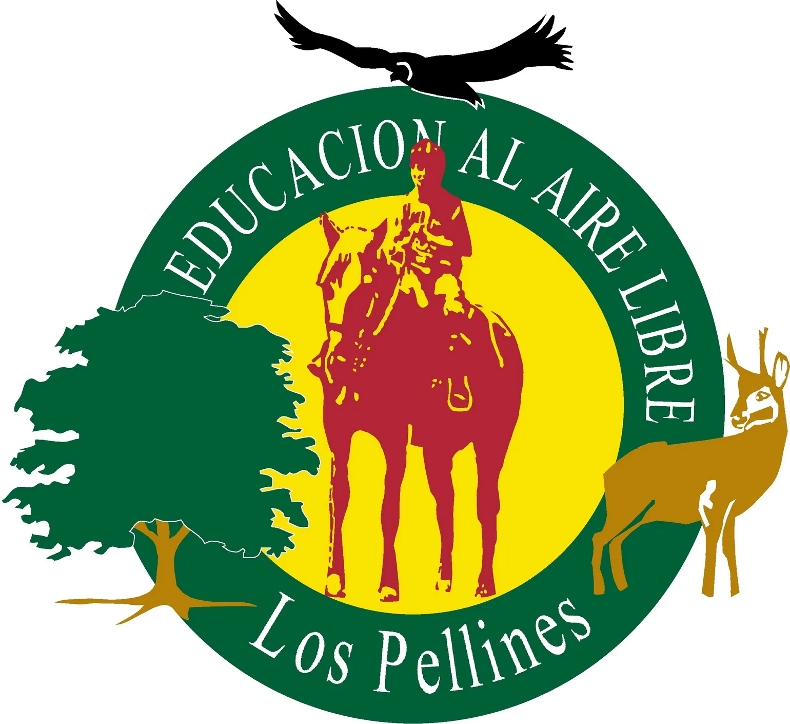 Los Pellines Educación al Aire Libre