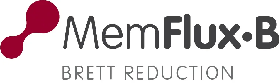 MemFlux.B BRETT REDUCTION