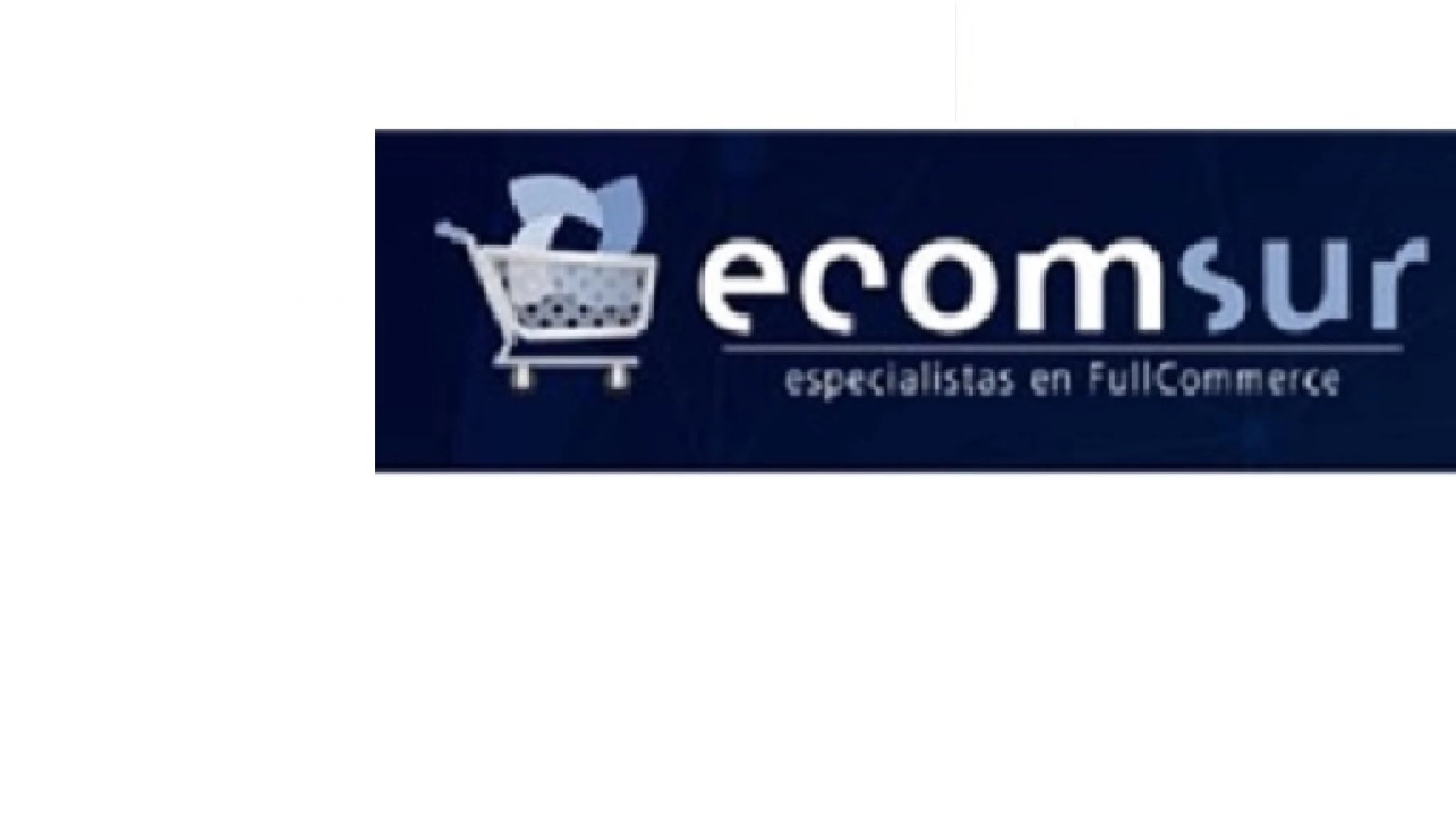 Ecomsur