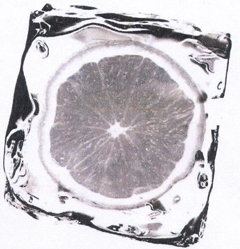 Acta 1032384