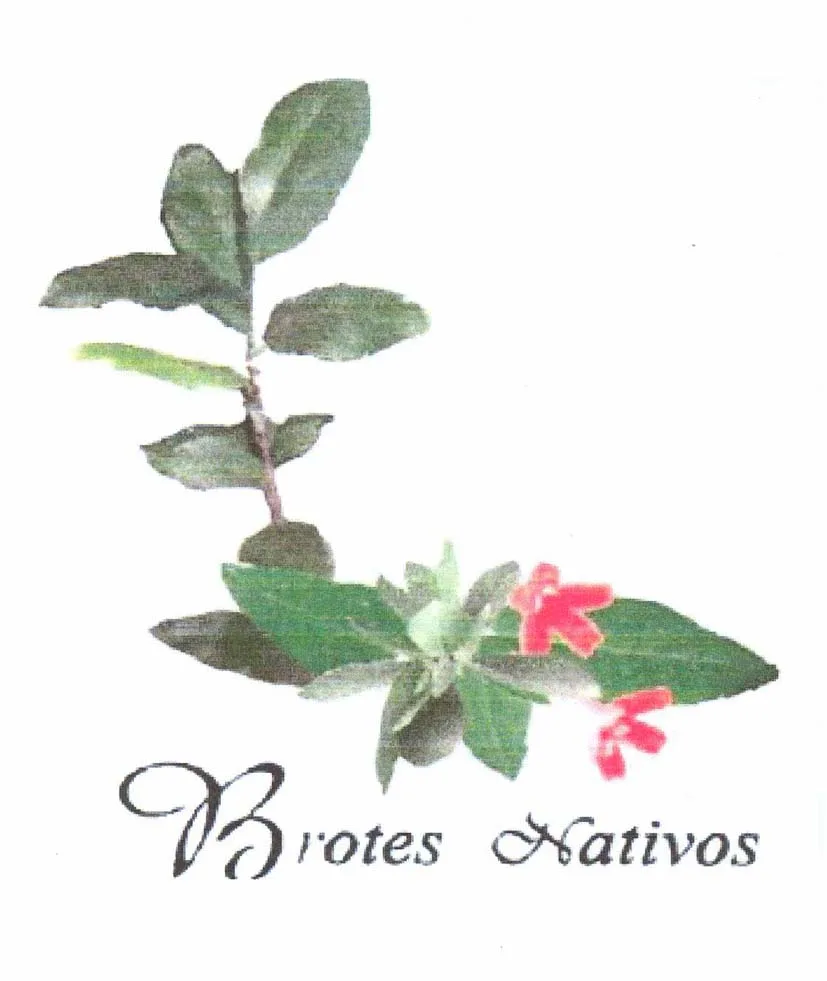 BROTES NATIVOS