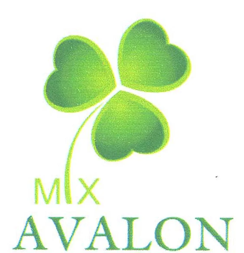 MX AVALON