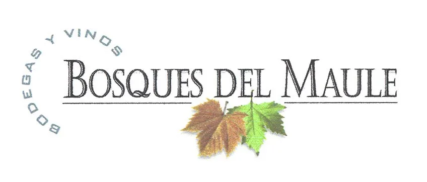 BOSQUES DEL MAULE