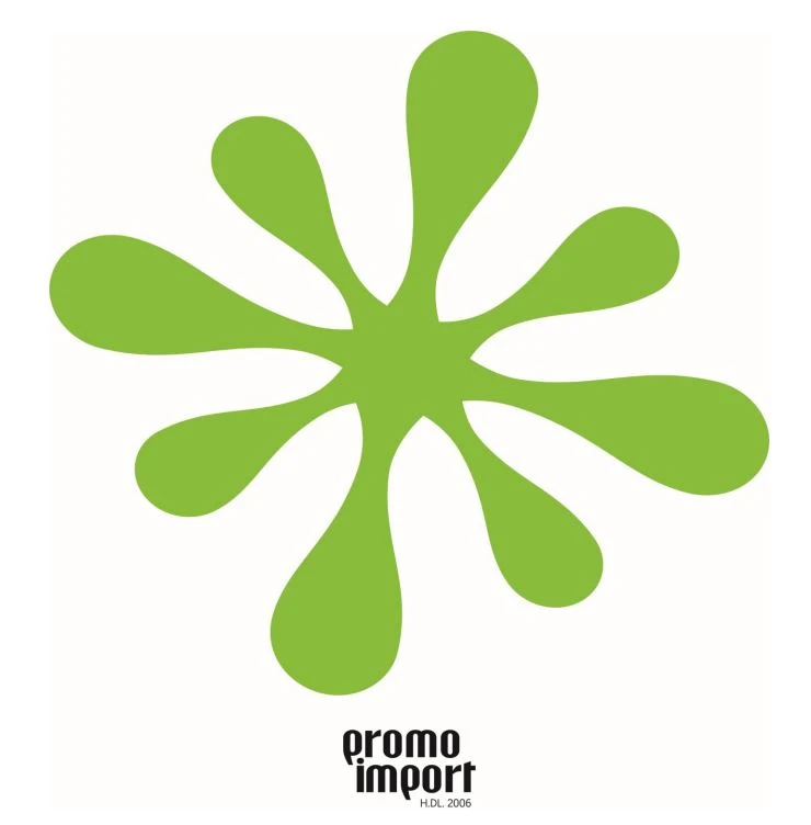 PROMO IMPORT H.DL. 2006