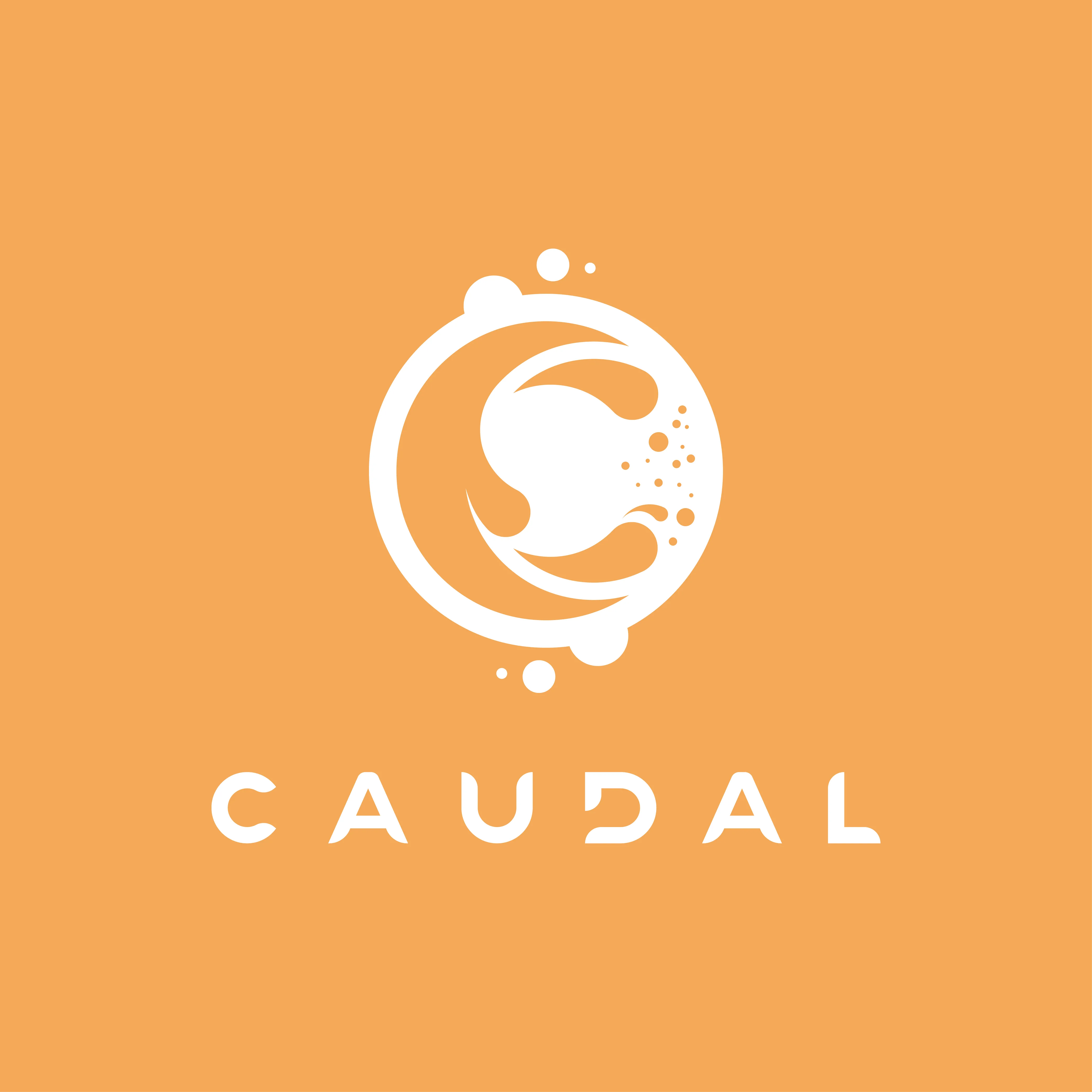 CAUDAL