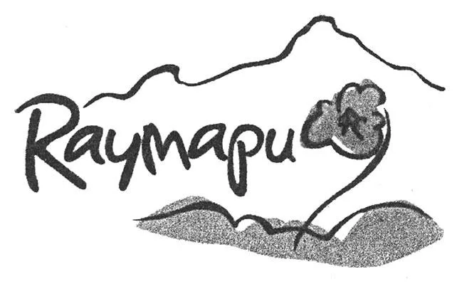 RAYMAPU
