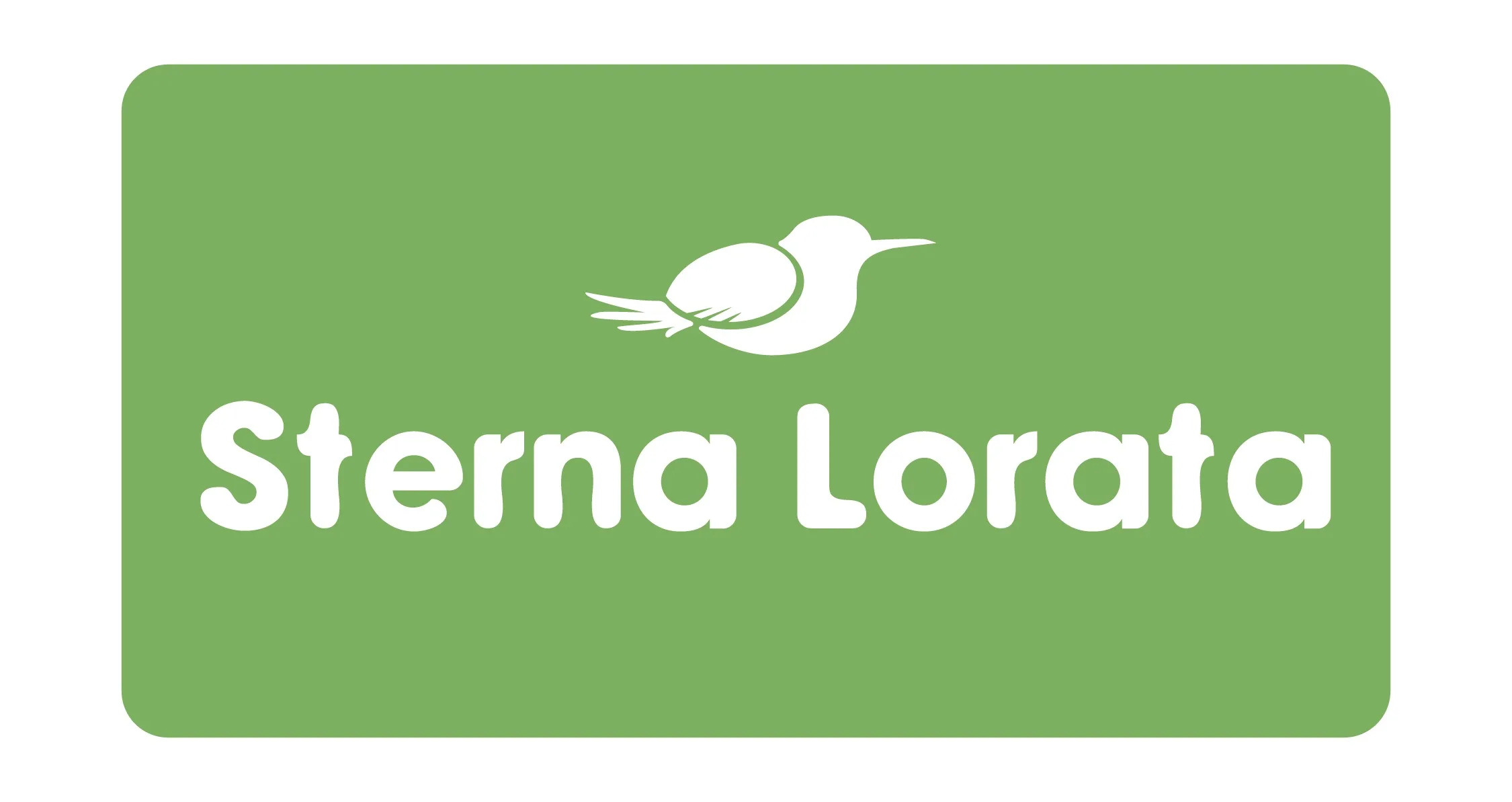 STERNA LORATA