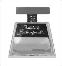 SALUT DE SCHIAPARELLI