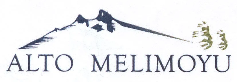 ALTO MELIMOYU