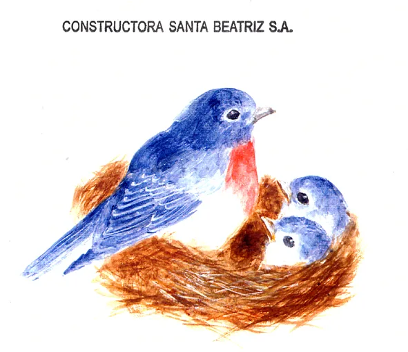 CONSTRUCTORA SANTA BEATRIZ S.A.