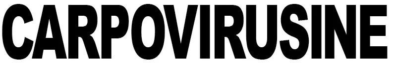 CARPOVIRUSINE