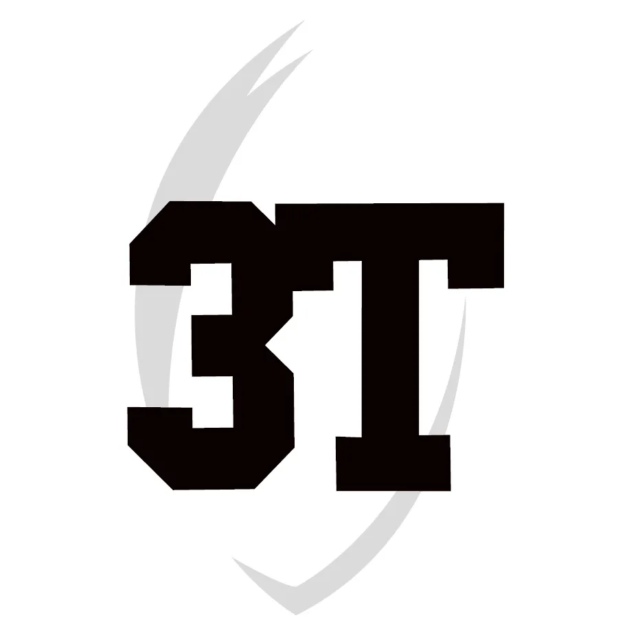 3T