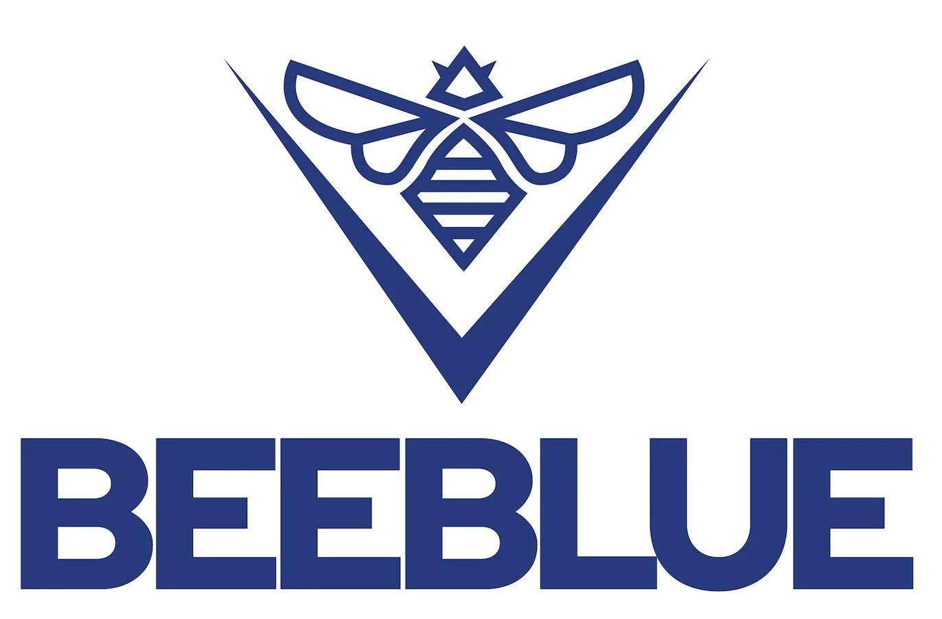 V BEEBLUE