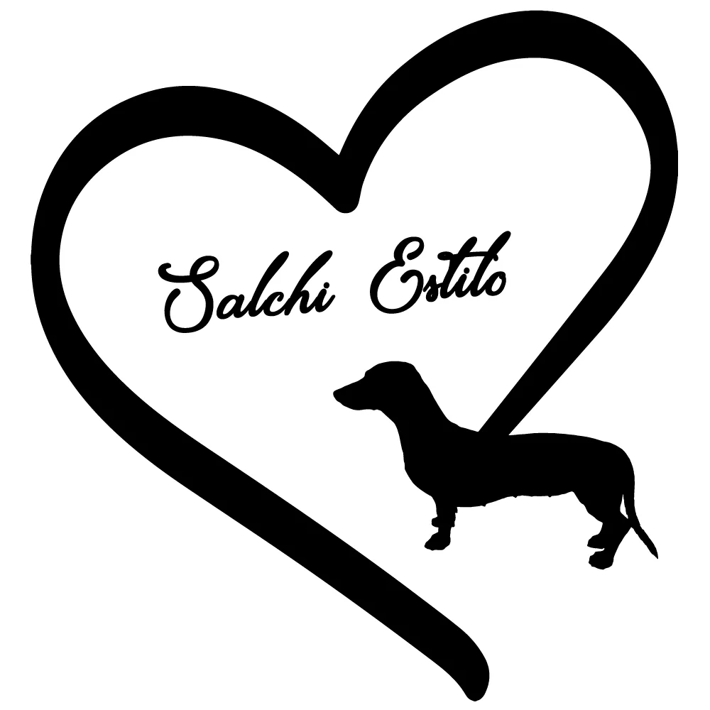 SALCHI ESTILO